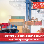 Ekspedisi Surabaya Sampit